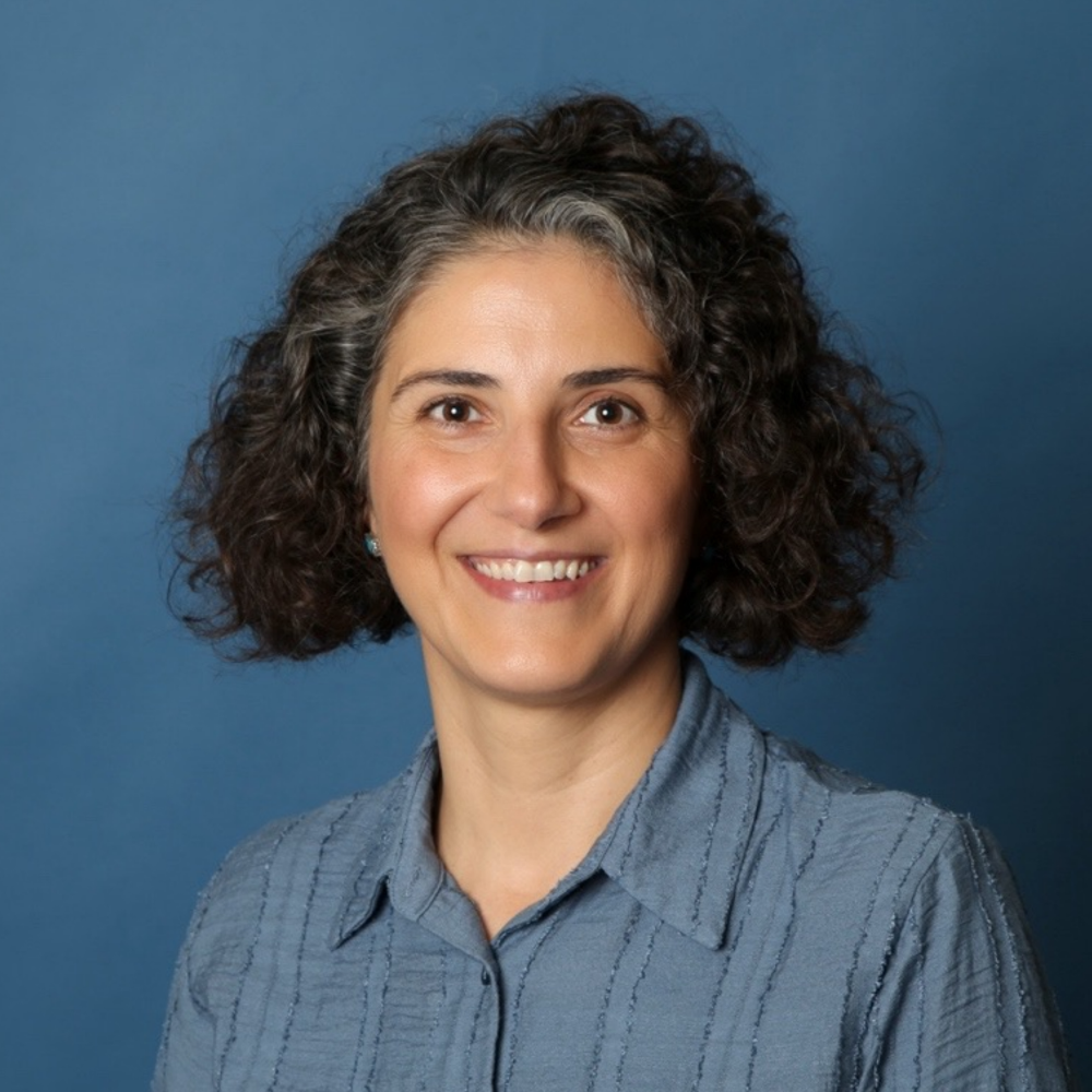 Portrait of Prof. Dr. Tülin Kaman, person with medium-length, curly, dark hair and a blue-grey shirt.